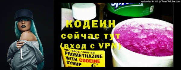 молекула духа Сосновка