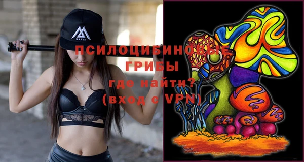 скорость Няндома