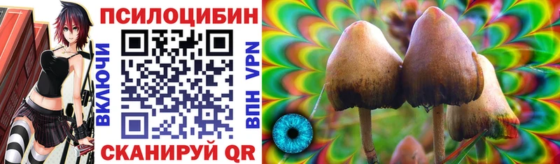 купить закладку  Кириллов  Псилоцибиновые грибы Magic Shrooms 
